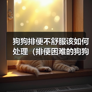 狗狗排便不舒服该如何处理(排便困难的狗狗需要怎样的治疗)(图3) 狗狗排便不舒服该如何处理(排便困难的狗狗需要怎样的治疗)(图3)