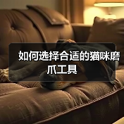 如何选择合适的猫咪磨爪工具(图2) 如何选择合适的猫咪磨爪工具(图2)