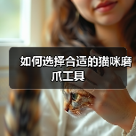 如何选择合适的猫咪磨爪工具(图4) 如何选择合适的猫咪磨爪工具(图4)