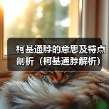 柯基通脖的意思及特点剖析(柯基通脖解析)(图3) 柯基通脖的意思及特点剖析(柯基通脖解析)(图3)