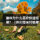 猫咪为什么喜欢快递纸箱？（探究猫咪对纸箱的喜爱原因及心理需求）(图4)