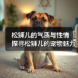 松狮儿的气质与性情(探寻松狮儿的宠物魅力)(图1) 松狮儿的气质与性情(探寻松狮儿的宠物魅力)(图1)