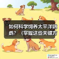 如何科学饲养太平洋鹦鹉?(掌握这些关键方法,让你的鹦鹉健康快乐成长)(图1) 如何科学饲养太平洋鹦鹉?(掌握这些关键方法,让你的鹦鹉健康快乐成长)(图1)