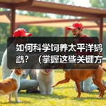 如何科学饲养太平洋鹦鹉?(掌握这些关键方法,让你的鹦鹉健康快乐成长)(图3) 如何科学饲养太平洋鹦鹉?(掌握这些关键方法,让你的鹦鹉健康快乐成长)(图3)