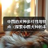 中国的犬种多样性与特点（探索中国犬种的丰富性及其对传统文化的贡献）(图3)