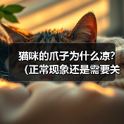 猫咪的爪子为什么凉？（正常现象还是需要关注的问题？）(图3)