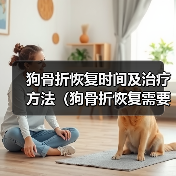 狗骨折恢复时间及治疗方法（狗骨折恢复需要多长时间？如何帮助狗狗快速康复？）(图1)