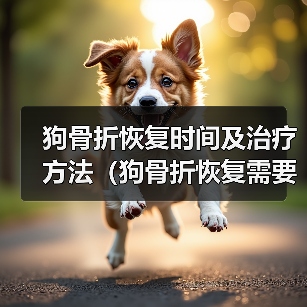 狗骨折恢复时间及治疗方法（狗骨折恢复需要多长时间？如何帮助狗狗快速康复？）(图2)