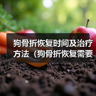 狗骨折恢复时间及治疗方法（狗骨折恢复需要多长时间？如何帮助狗狗快速康复？）(图4)