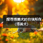 探寻博美犬的价值所在(博美犬)(图2) 探寻博美犬的价值所在(博美犬)(图2)