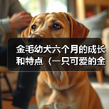 金毛幼犬六个月的成长和特点(一只可爱的金毛幼犬如何在六个月内成长为独立和聪明的宠物)(图4) 金毛幼犬六个月的成长和特点(一只可爱的金毛幼犬如何在六个月内成长为独立和聪明的宠物)(图4)