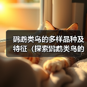 鹦鹉类鸟的多样品种及特征（探索鹦鹉类鸟的丰富多样性及特点）(图4)