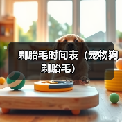 剃胎毛时间表(宠物狗剃胎毛)(图1) 剃胎毛时间表(宠物狗剃胎毛)(图1)