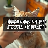 博美幼犬半夜大小便的解决方法（如何让你的博美幼犬养成良好的大小便习惯）(图1)