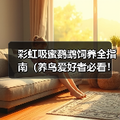 彩虹吸蜜鹦鹉饲养全指南（养鸟爱好者必看！一文教你如何照顾你的彩虹吸蜜鹦鹉）(图2)