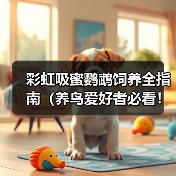 彩虹吸蜜鹦鹉饲养全指南（养鸟爱好者必看！一文教你如何照顾你的彩虹吸蜜鹦鹉）(图4)