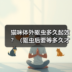 猫咪体外驱虫多久起效?(驱虫后要等多久才能见效?)(图1) 猫咪体外驱虫多久起效?(驱虫后要等多久才能见效?)(图1)