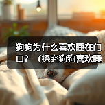 狗狗为什么喜欢睡在门口?(探究狗狗喜欢睡在门口的原因及影响)(图4) 狗狗为什么喜欢睡在门口?(探究狗狗喜欢睡在门口的原因及影响)(图4)