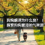 狗狗眼泪为什么臭？（探索狗狗眼泪的气味源头）(图1)