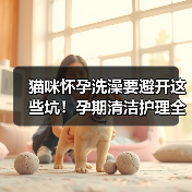 猫咪怀孕洗澡要避开这些坑!孕期清洁护理全攻略(图1) 猫咪怀孕洗澡要避开这些坑!孕期清洁护理全攻略(图1)