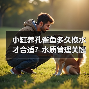 小缸养孔雀鱼多久换水才合适?水质管理关键技巧揭秘(图4) 小缸养孔雀鱼多久换水才合适?水质管理关键技巧揭秘(图4)