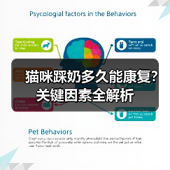 猫咪踩奶多久能康复?关键因素全解析(图3) 猫咪踩奶多久能康复?关键因素全解析(图3)