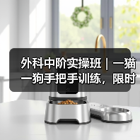外科中阶实操班|一猫一狗手把手训练,限时开班技能提升快(图1) 外科中阶实操班|一猫一狗手把手训练,限时开班技能提升快(图1)
