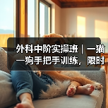 外科中阶实操班|一猫一狗手把手训练,限时开班技能提升快(图4) 外科中阶实操班|一猫一狗手把手训练,限时开班技能提升快(图4)