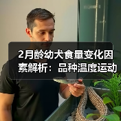 2月龄幼犬食量变化因素解析:品种温度运动量影响揭秘(图1) 2月龄幼犬食量变化因素解析:品种温度运动量影响揭秘(图1)