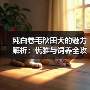 纯白卷毛秋田犬的魅力解析：优雅与饲养全攻略(图2)