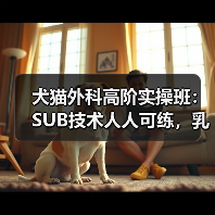 犬猫外科高阶实操班：SUB技术人人可练，乳糜胸手术怎么操作？(图2)