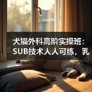 犬猫外科高阶实操班：SUB技术人人可练，乳糜胸手术怎么操作？(图1)
