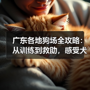 广东各地狗场全攻略：从训练到救助，感受犬类文化魅力(图3)