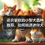 适合家庭的小型犬品种推荐,如何挑选迷你犬?(图2) 适合家庭的小型犬品种推荐,如何挑选迷你犬?(图2)