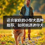 适合家庭的小型犬品种推荐，如何挑选迷你犬