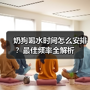 奶狗喝水时间怎么安排?最佳频率全解析(图3) 奶狗喝水时间怎么安排?最佳频率全解析(图3)