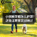 小猫换牙期怎么护理?这些注意事项别错过(图3) 小猫换牙期怎么护理?这些注意事项别错过(图3)