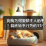 狗狗为何爱舔主人的手?解析舔手行为的15个原因与意义(图4) 狗狗为何爱舔主人的手?解析舔手行为的15个原因与意义(图4)