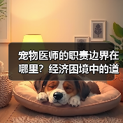 宠物医师的职责边界在哪里?经济困境中的道德抉择(图3) 宠物医师的职责边界在哪里?经济困境中的道德抉择(图3)