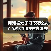 狗狗被蚊子叮咬怎么办?5种实用防蚊方法守护宠物健康(图2) 狗狗被蚊子叮咬怎么办?5种实用防蚊方法守护宠物健康(图2)