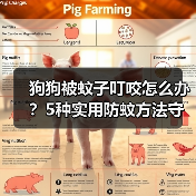 狗狗被蚊子叮咬怎么办？5种实用防蚊方法守