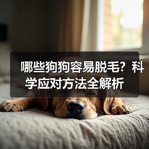 哪些狗狗容易脱毛？科学应对方法全解析