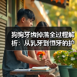 狗狗牙齿掉落全过程解析:从乳牙到恒牙的护理指南(图4) 狗狗牙齿掉落全过程解析:从乳牙到恒牙的护理指南(图4)