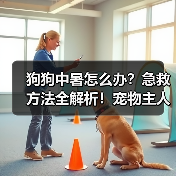 狗狗中暑怎么办？急救方法全解析！宠物主人必看(图1)