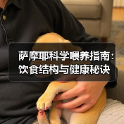萨摩耶科学喂养指南:饮食结构与健康秘诀(图3) 萨摩耶科学喂养指南:饮食结构与健康秘诀(图3)