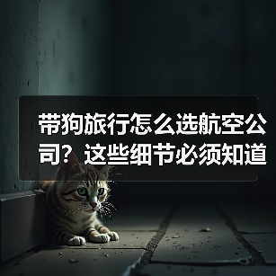带狗旅行怎么选航空公司？这些细节必须知道！(图4)