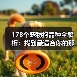 178个宠物狗品种全解析:找到最适合你的那一款!(图3) 178个宠物狗品种全解析:找到最适合你的那一款!(图3)