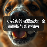 小花狗的可爱魅力：全面解析与饲养指南(图4)
