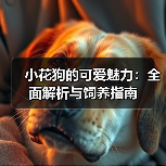 小花狗的可爱魅力：全面解析与饲养指南(图1)