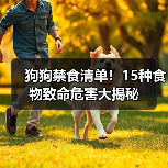 狗狗禁食清单!15种食物致命危害大揭秘(图1) 狗狗禁食清单!15种食物致命危害大揭秘(图1)